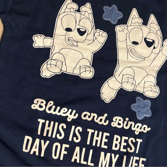 BLUEY Kids Character Soft Crewneck Sweatshirt Blue with Embroidery & Appliqué - Picture 8 of 10